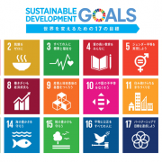 SDGs