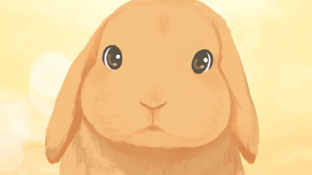 Works うさぎのお姉さん うさぎのアップ