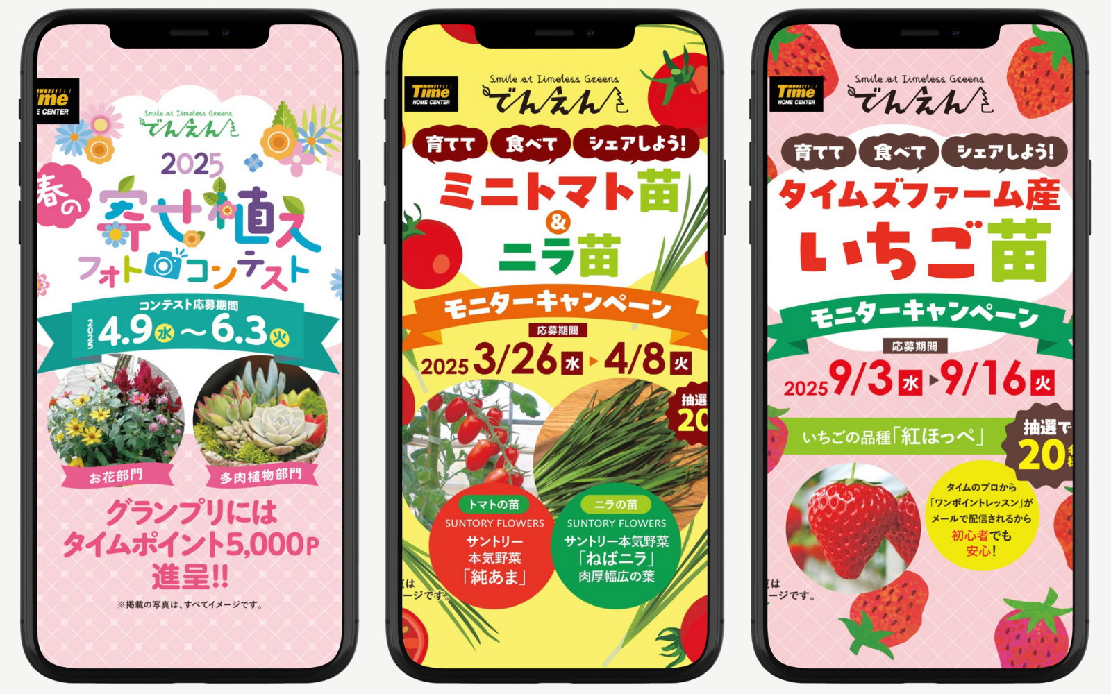 Works でんえん キャンペーン